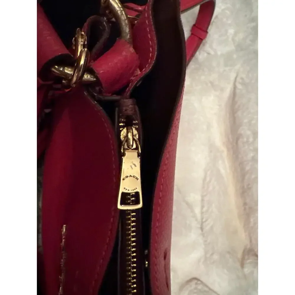 Dark Pink Strawberry Coach Bucket bag - Picture 3 of 13